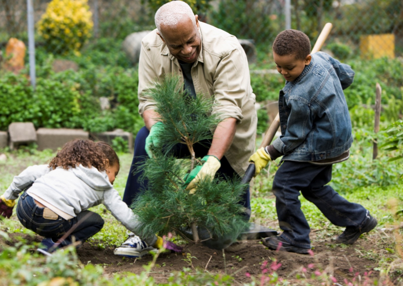 Grand-père et petit-enfant plantant un arbre — transmission pour l’avenir