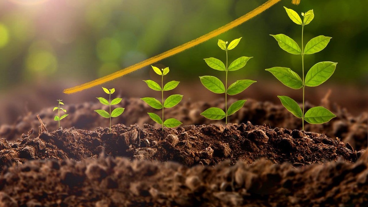 Création et valorisation de votre patrimoine